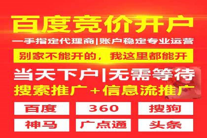 信息流广告的精准定位与效果优化案例分析